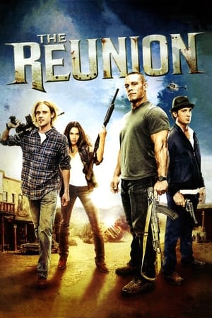 The Reunion (2011) Hindi Dual Audio – 480p