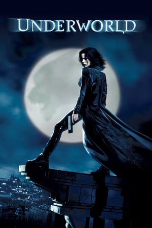 Underworld (2003) 100mb Hindi Dual Audio movie Download